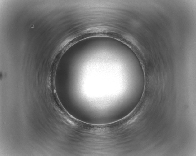 X0000066510778200603171151
