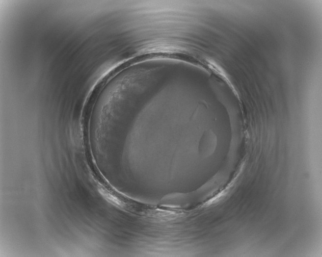 X0000066510779200603171151