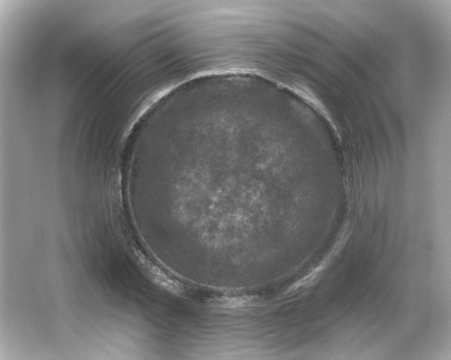 X0000066510781200603171151