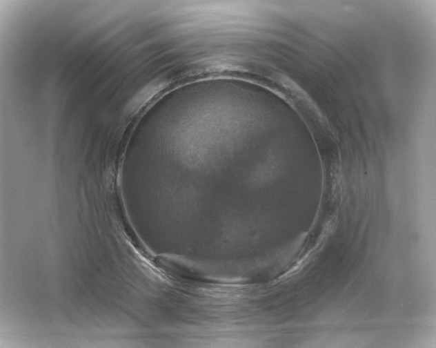X0000066510785200603171151