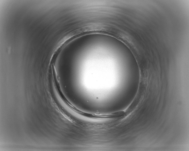X0000066510786200603171151