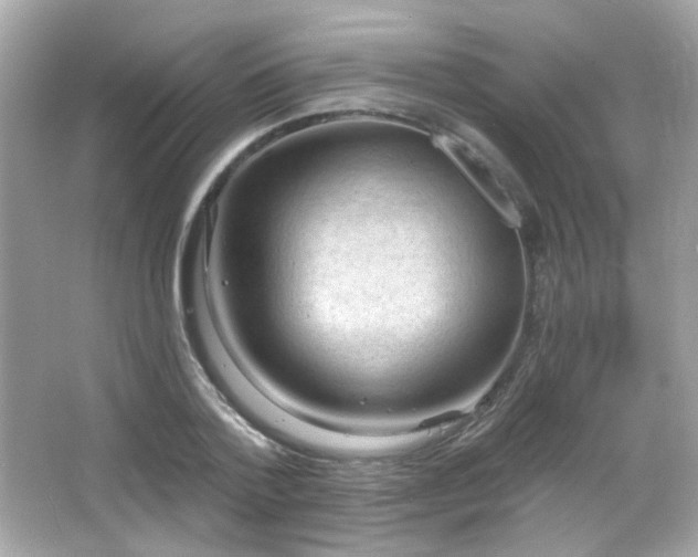 X0000066510788200603171151