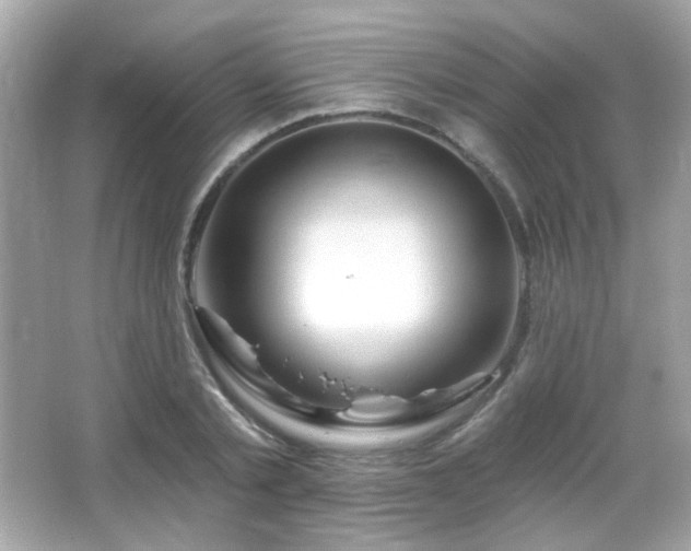 X0000066510789200603171151
