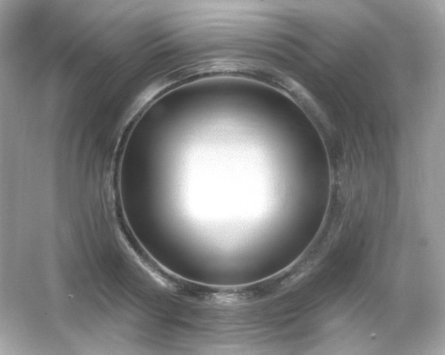 X0000066510794200603171150