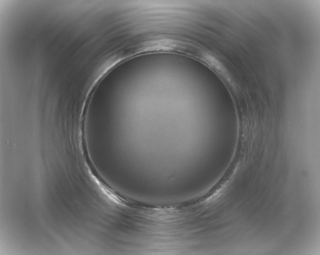 X0000066510802200603171150
