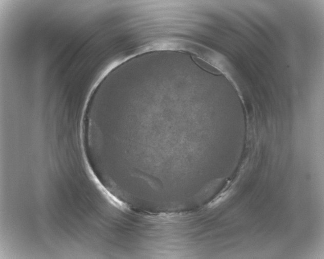 X0000066510803200603171150