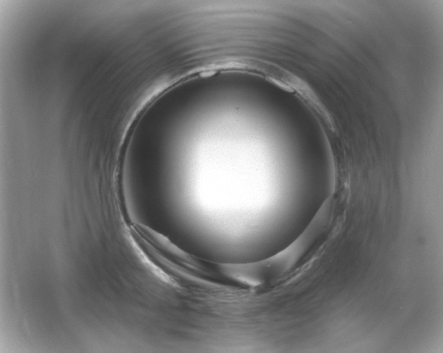X0000066510805200603171150