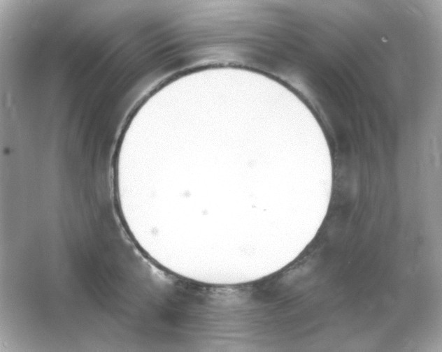 X0000066510807200603171150