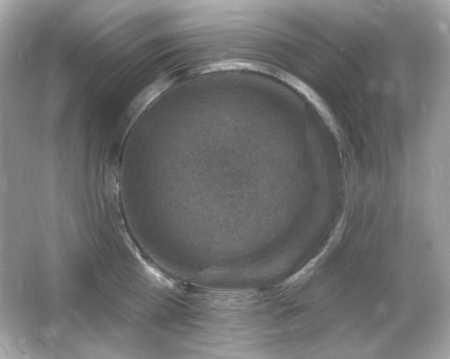 X0000066510809200603171150