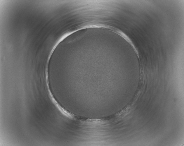 X0000066510811200603171150