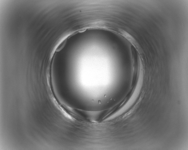 X0000066510812200603171150