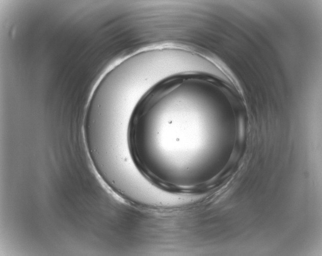X0000066510813200603171150