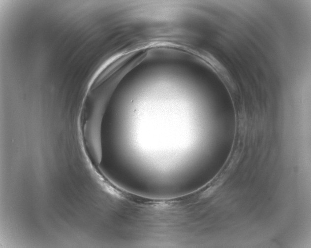 X0000066510814200603171150