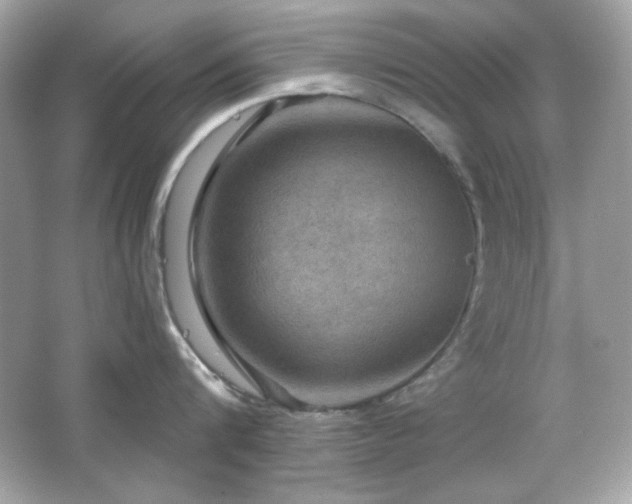 X0000066510816200603171150