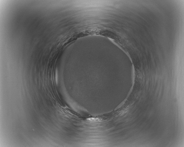 X0000066510818200603171149