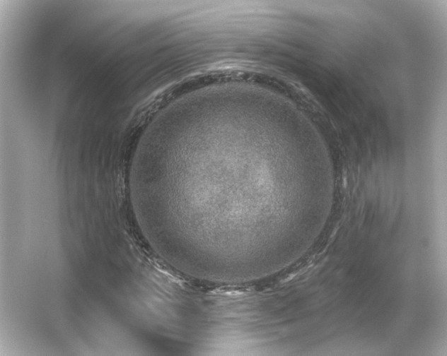 X0000066510821200603171149