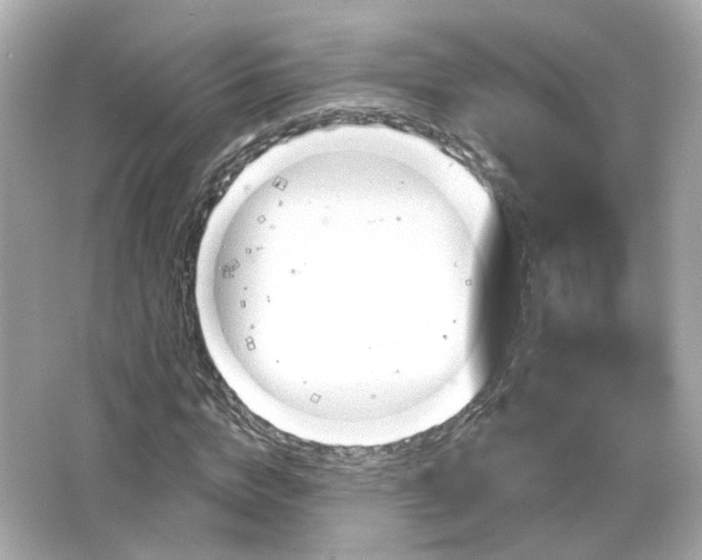 X0000066510824200603171149
