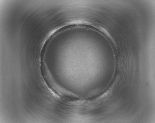 X0000066510831200603171149