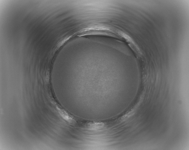 X0000066510833200603171150