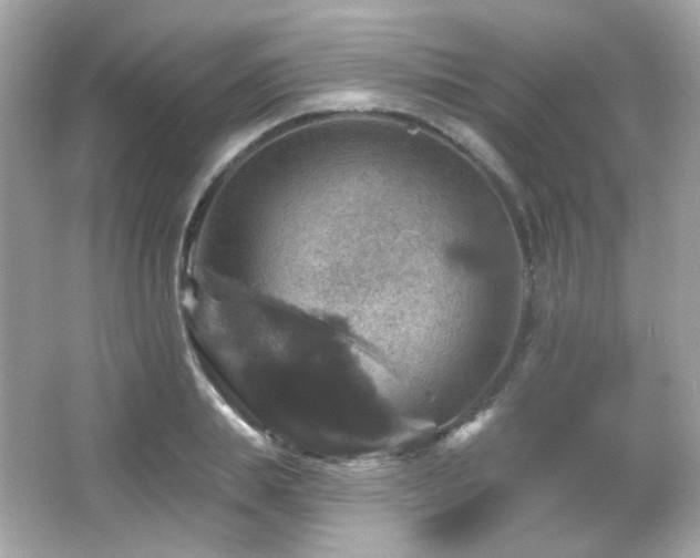 X0000066510839200603171150