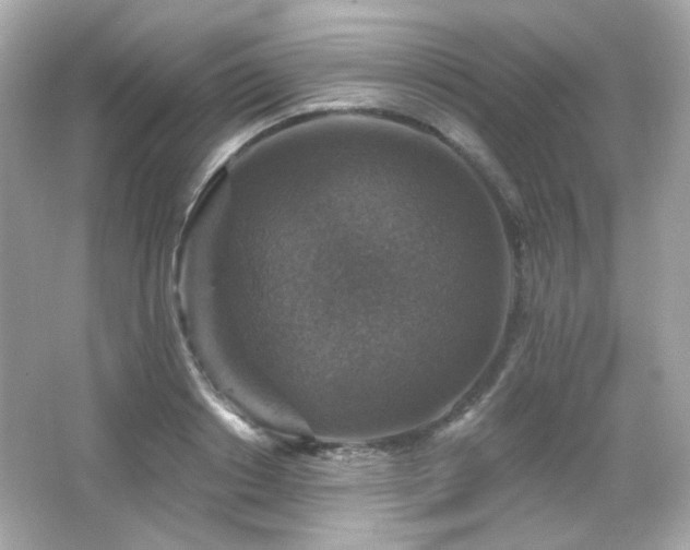 X0000066510842200603171150