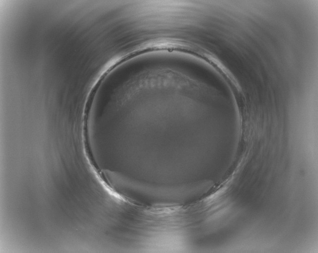 X0000066510853200603171150
