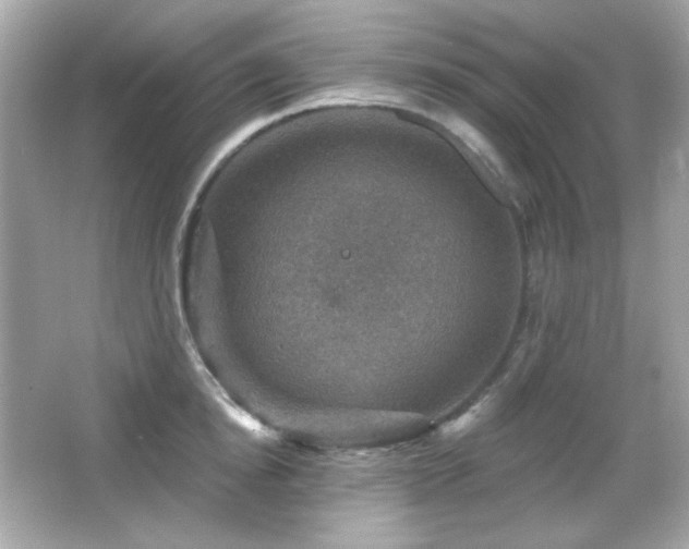 X0000066510854200603171150