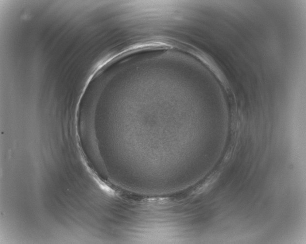 X0000066510858200603171150
