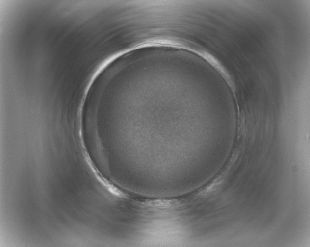 X0000066510862200603171150