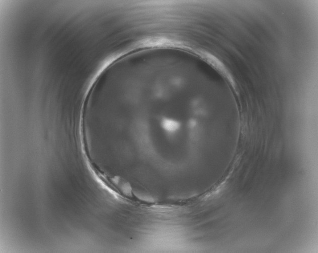 X0000066510863200603171150