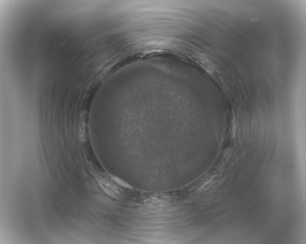 X0000066510868200603171149