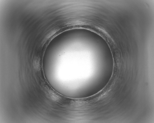 X0000066510873200603171149