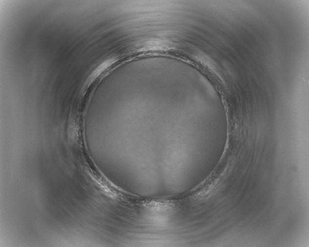 X0000066510874200603171149