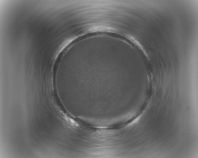 X0000066510877200603171149