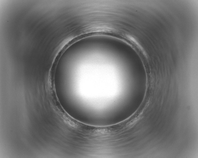 X0000066510883200603171149