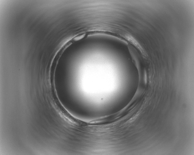 X0000066510884200603171149