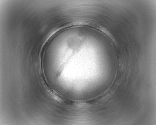 X0000066510886200603171149