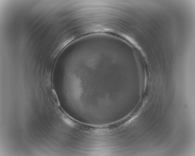 X0000066510889200603171149
