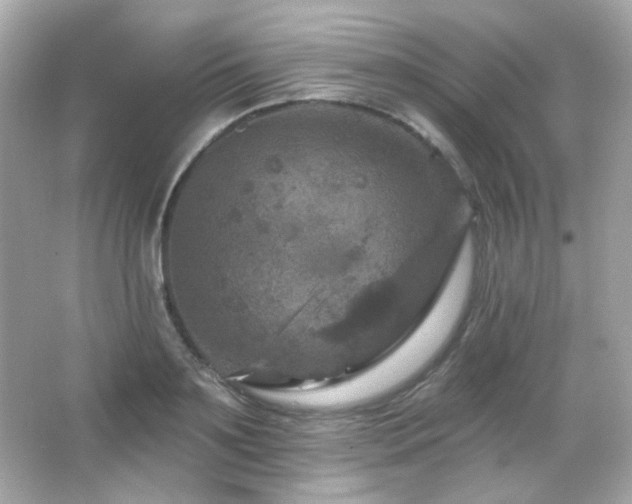 X0000066510891200603171149