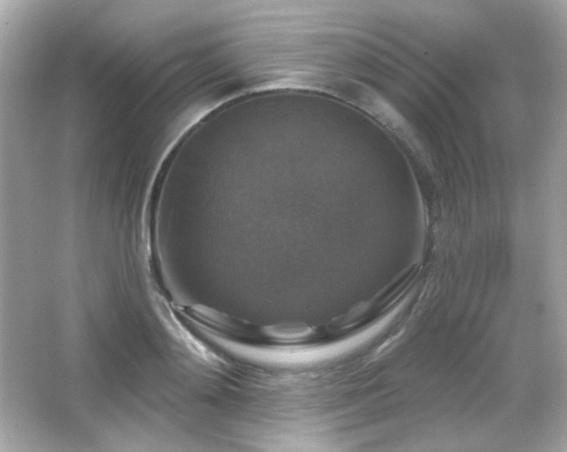 X0000066510892200603171149