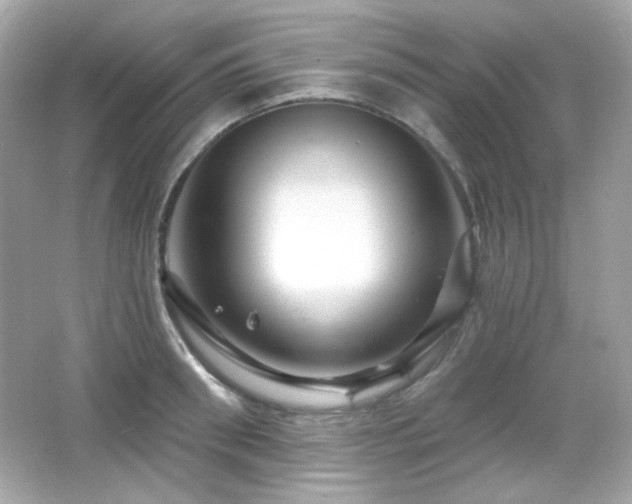 X0000066510898200603171149