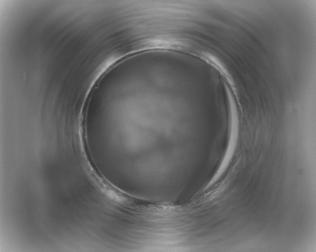 X0000066510899200603171149