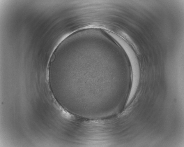 X0000066510900200603171149
