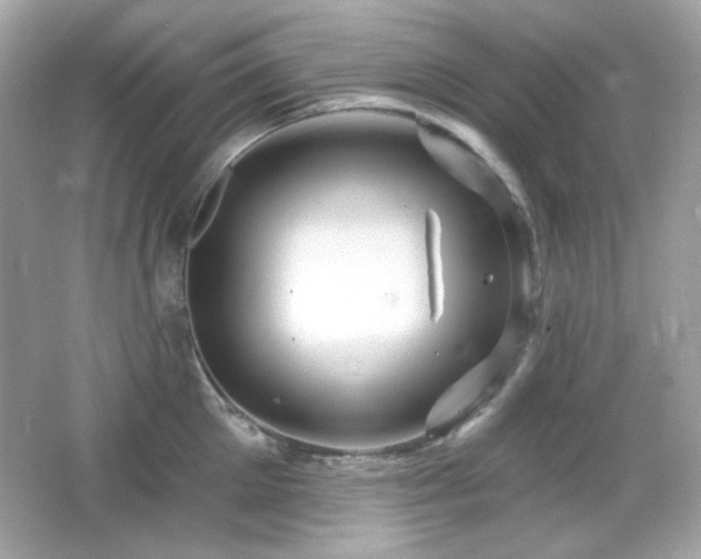 X0000066510905200603171149