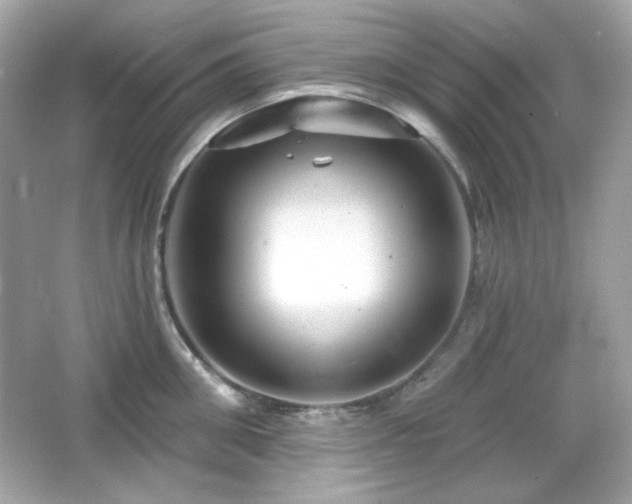X0000066510906200603171149