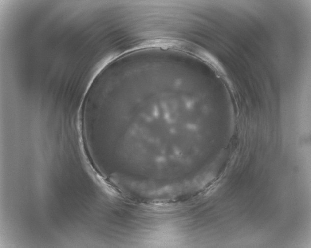X0000066510907200603171149
