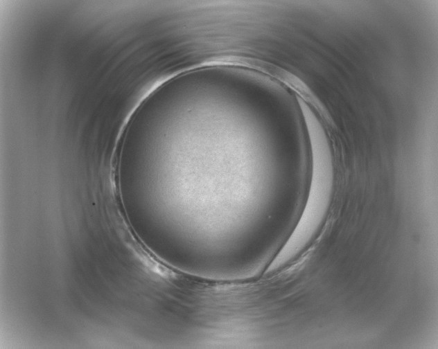 X0000066510908200603171148