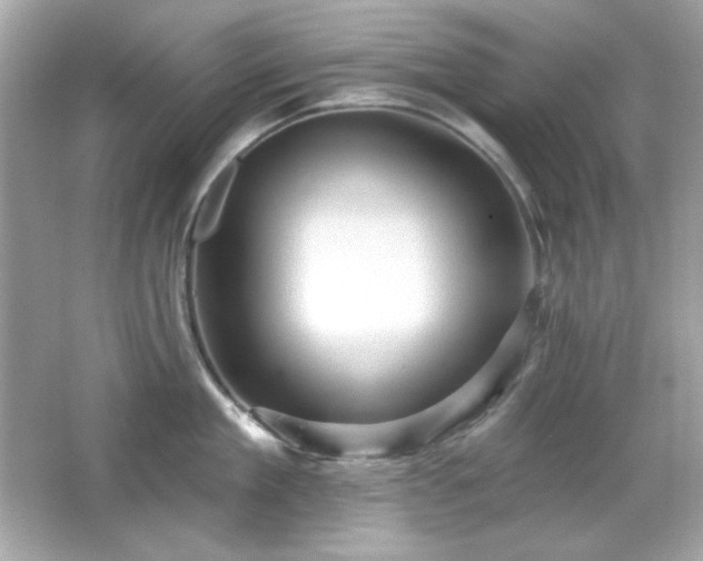 X0000066510909200603171148
