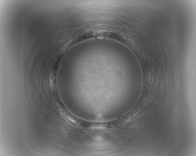 X0000066510914200603171148