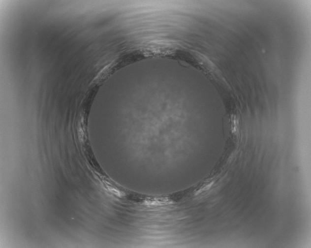X0000066510915200603171148
